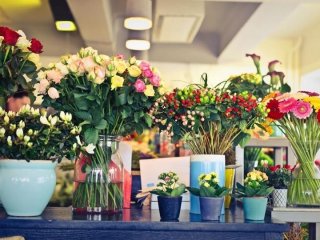 اصول مهم برای این که بدانیم چگونه یک گل فروش موفق شویم؟