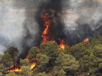 چند دلیل برای وقوع آتش سوزی در طبیعت