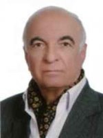 دکتر محمد سنادی زاده