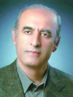 دکتر محمد حسین مهرزادی