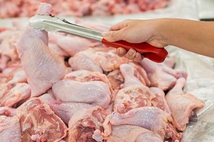 قیمت مرغ گرم به صورت غیررسمی افزایش یافت