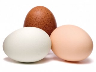 سایه روشن‌های تخم مرغ (1)