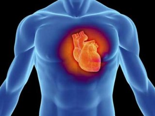 استفاده از سلول‌های بنيادی در درمان سكته قلبی