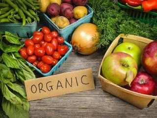 كداميك سالم ترند؟ غذاهای ارگانیک یا غذای اصلاح شده ژنتیکی؟