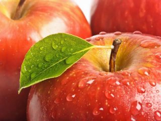 سیب از ديدگاه طب سنتی- قسمت دوم