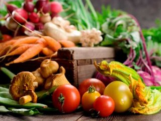 اثرات گیاهخواری بر روی اندام‌های بدن انسان