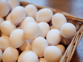 پرسش و پاسخ در مورد تخم مرغ