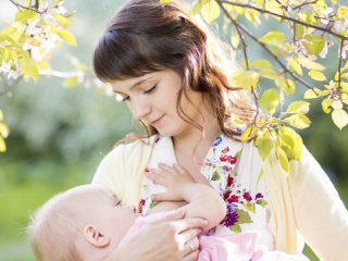 گیاهان موثر در افزایش شیر مادر