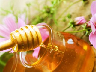 عسل در طب سنتی ایرانی اسلامی (2)