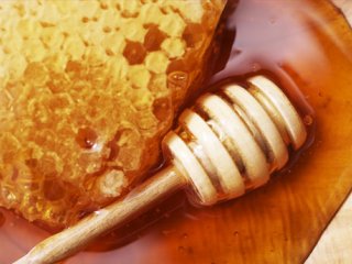 بسته موضوعی 32: همه چیز درباره عسل