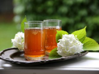 چای كومبوكا؛ نوشیدنی شگفت انگیز (2)
