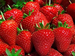 توت‌فرنگی محافظ سلامت بدن (2)