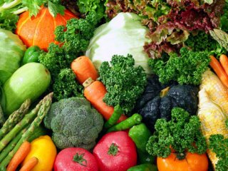 گیاهخواری مفید است یا مضر؟ (1)
