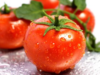 گوجه فرنگی به اشكال گوناگون (1)