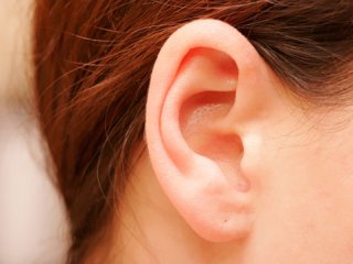 7 واقعیت در مورد گوش‌های‌تان (1)