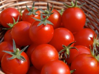 گوجه فرنگی در طب سنتی