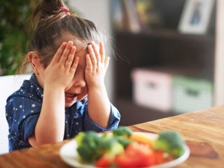 بسته موضوعی 61: با کودک بد غذایم چه کنم؟