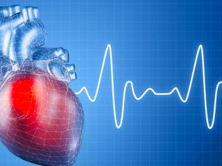 ارتباط چربی خون با بیماری‌های قلب و عروق