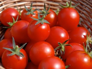 لیکوپن گوجه فرنگی، سپری در برابر بیماری قلبی