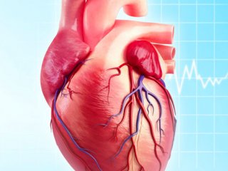 بیماری های ایسكمیك قلبی کدامند؟
