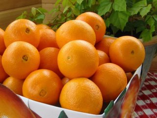 پرتقال؛ پاک کننده خلط های مضر بدن