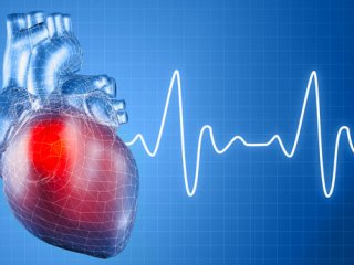 چرا با افزایش سن، بیماری قلبی افزایش می یابد؟