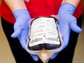 فرآیند اهداء خون (به مناسبت روز جهانی اهدای خون)