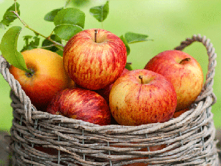 سیب سلامتی شما را بیمه می‌کند