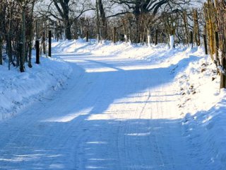 7 الهام از طبیعت برای سلامتی در زمستان