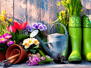 دز بهار چه گل و گیاهانی بکاریم؟