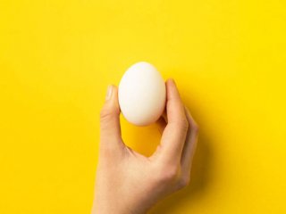 باورهای نادرست درباره تخم مرغ