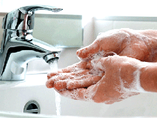 بعد از دست زدن به این چیزها باید دست هایتان را بشویید!