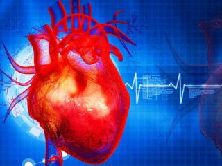 بدن قبل ازحمله‌ی قلبی، این علائم را نشان می‌دهد