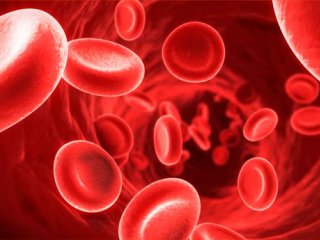 روش های طبیعی برای درمان کم خونی