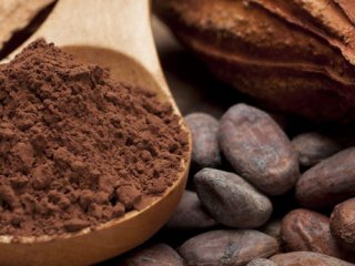 کاهش پیامدهای چاقی با کاکائو