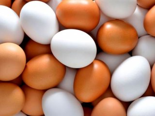 ۹ باور اشتباه درباره تخم‌مرغ