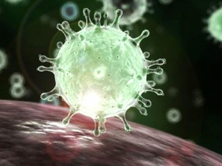 کروناویروس چقدر روی سطوح زنده می‌ماند؟