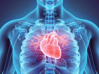 علت تند شدن ضربان قلب چیست؟