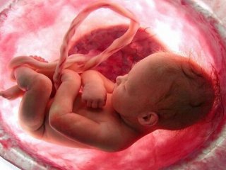 انتقال کرونا از مادر به جنین ممکن است؟