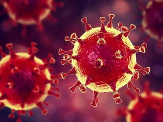 ویروس جدید کرونای انگلیسی خطر مرگ بیشتر ندارد