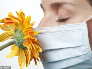 راه درمان از بین رفتن «حس بویایی» درکرونایی‌ها چیست؟