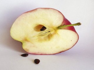 اثر معجزه‌آسای خوردن هسته سیب