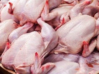 عرضه گسترده مرغ گرم از فردا در استان تهران