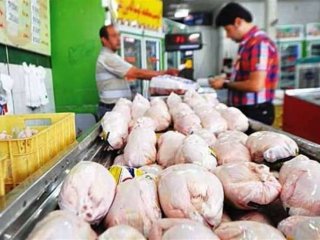 قیمت کنونی مرغ به نرخ مصوب کاهش یافت