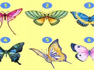 با انتخاب یکی از پروانه ها به شخصیت خود پی ببرید