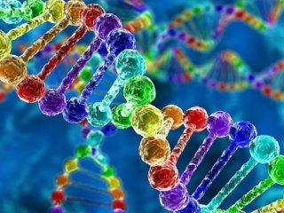 حقایقی جالب و کمتر شنیده شده درباره DNA که نمی‌دانستید