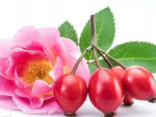 از فواید و ضررهای چای میوه گل رز چه می دانید ؟