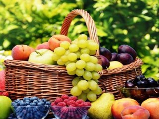 لطفا میوه‌ها را قبل از غروب خورشید مصرف کنید!