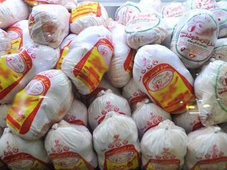 توزیع مرغ منجمد با قیمت ۱۵ هزار و ۵۰۰ تومان