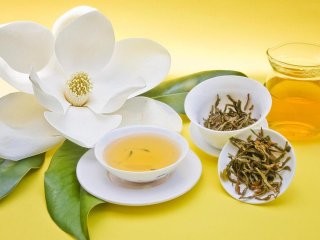 خواص چای زرد؛ از پاکسازی بدن تا مقاوم سازی در برابر انواع بیماری ها